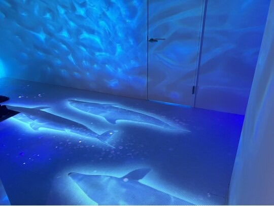 水紋とクジラの映像が投影された店内